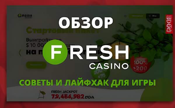 Pokerdom Kazino Otzyvy F9E52F 36